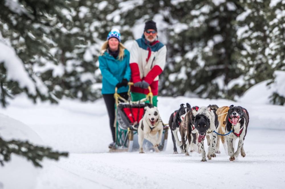 Sundance Resort Big White Ski Resort Ngoại thất bức ảnh